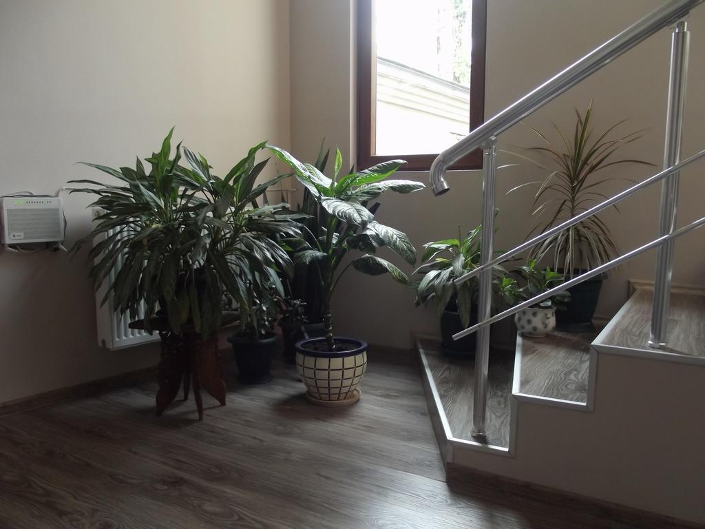 זוגדידי White Hotel Guesthouse מראה חיצוני תמונה